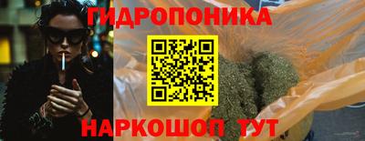 apvp Краснознаменск