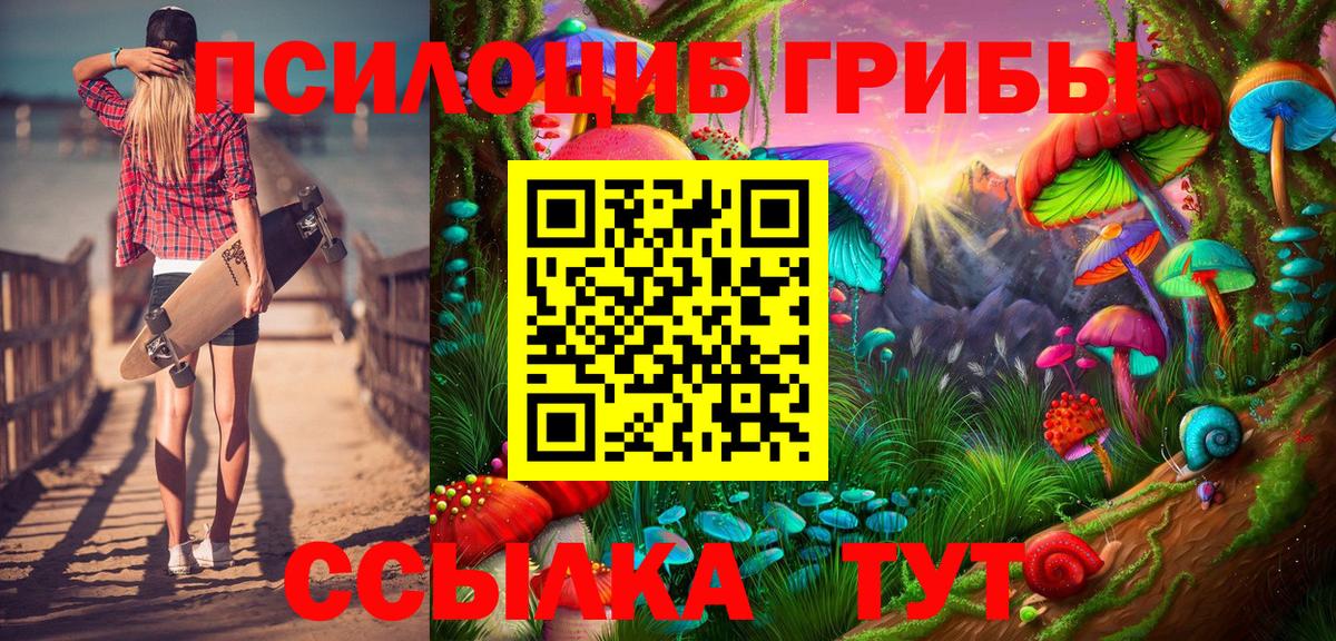 Псилоцибиновые грибы мицелий Зерноград